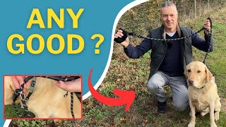 Kdsvakd Slip Lead for Dogs - No Pull Training Leash Review