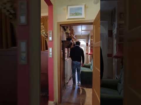 Vidéo