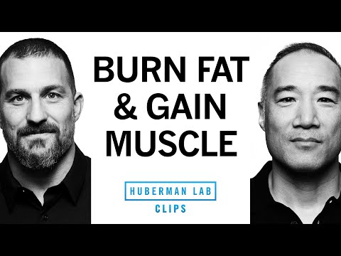 Body Recomposition: How to Burn Fat & Gain Muscle | Alan Aragon & Dr. Andrew Huberman