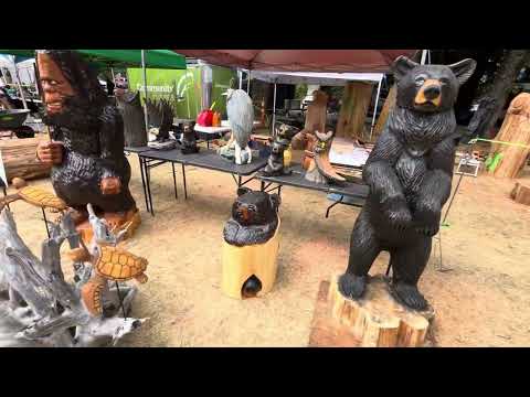 2025 Hope Chainsaw Carving Competition 