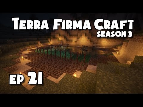 TerraFirmaCraft - S3 #21 - Making The Bloomery