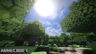 【統合版マイクラ】エンドラ討伐目標【コラボ配信】