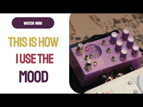 Chase Bliss Audio MOOD MKII 2023 - Present - Purple image 5