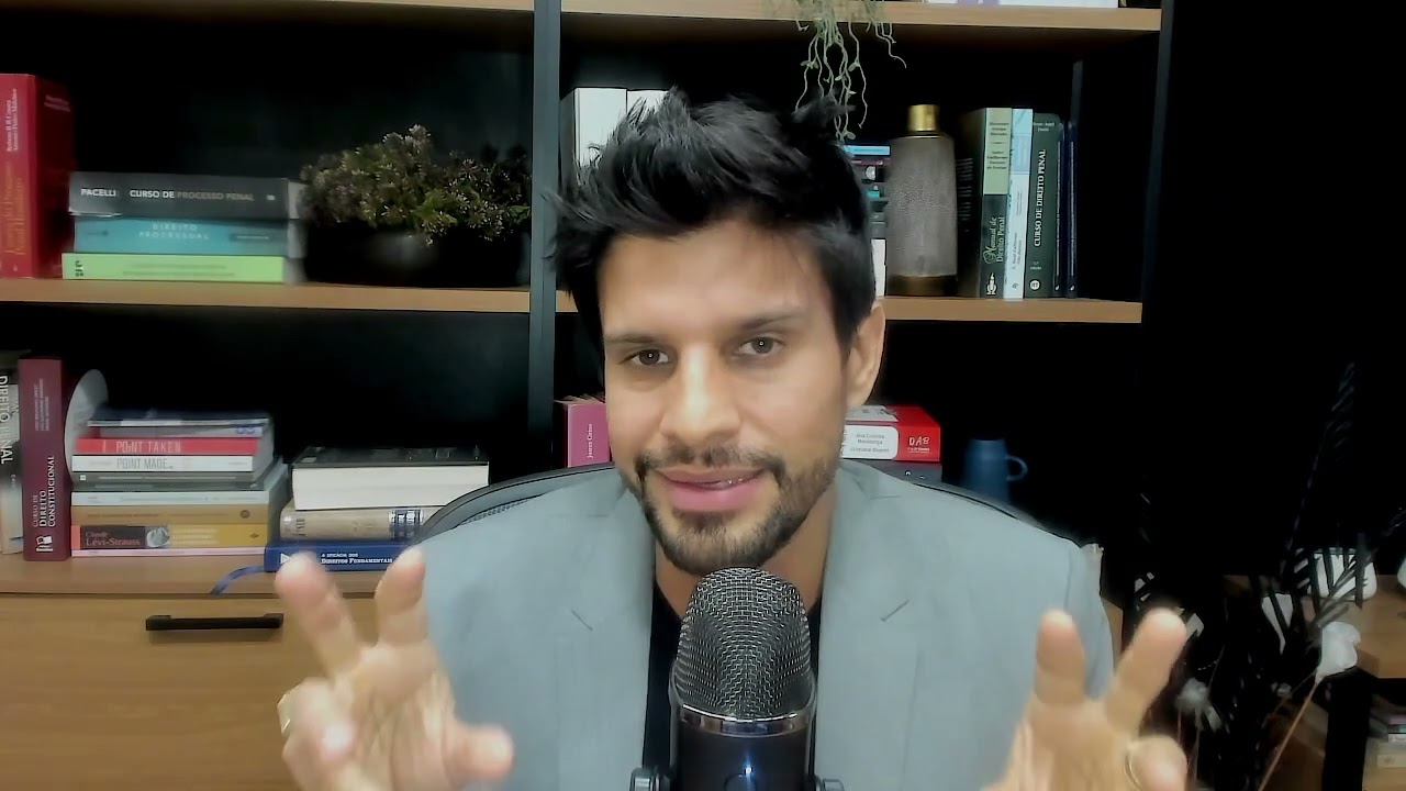 E DEPOIS DA AUDIÊNCIA DE CUSTÓDIA, QUAL É O PRÓXIMO PASSO?