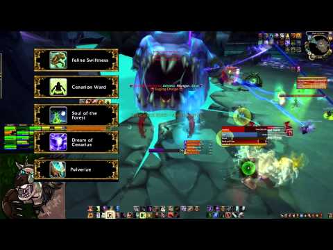 The Inconspicuous Bear - Heroic Gorefiend Guardian Guide