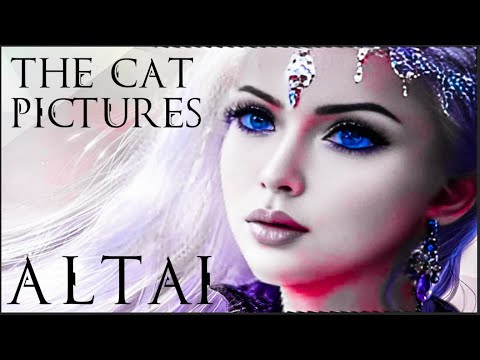 The Cat Pictures (feat. Valeria Lukyanova) - Altai