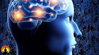 3 Hour Study Focus Music: Alpha Waves, Brain Music, Concentration Music, Calming Music, Focus, ☯2444
