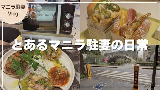 【マニラ生活】とある駐妻の日常｜ゆるりと過ごす日常Vlog ｜家電トラブルとかピザとかたまごサンドとか