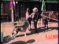 Cody Wolf On Entertainment Tonight 1 12