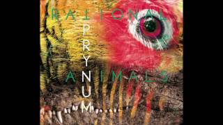 PRYNUM Rational Animals [Full EP]