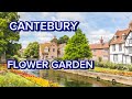 A visit in cantebury flower garden and town |westgate flower garden ,Kent England