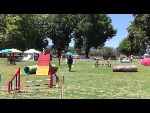 Bev and Pixie - Level 3 Wildcard (16") - 2015-07-11