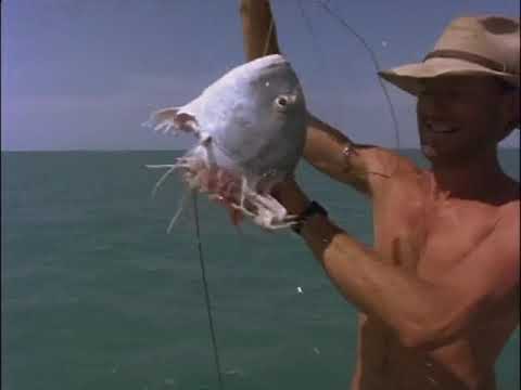 Malcolm Douglas - Australia - Life In Broome (1989)