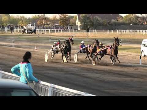 Trka "Revanš Derby" 14.10.2018 Cann Legacy V-Miodrag Pantić