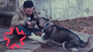 KAVABANGA DEPO KOLIBRI - УБЕЙ (Arseny Troshin prod)