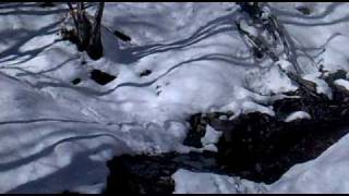 preview picture of video 'Sentiero 663 con neve'