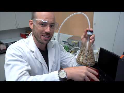 Inukshuk Professional Dog Food's Vacuum Infusion Process