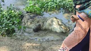Download lagu খান জাহান আলী মাজারের কালা পাহাড় কুমির mp3 Download lagu খান জাহান আলী মাজারের কালা পাহাড় কুমির mp3
