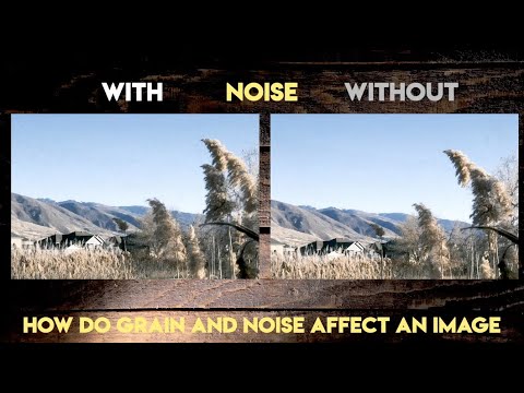 The difference between Digital Noise and Faux Grain - SOOC SoundBite SE01EP05