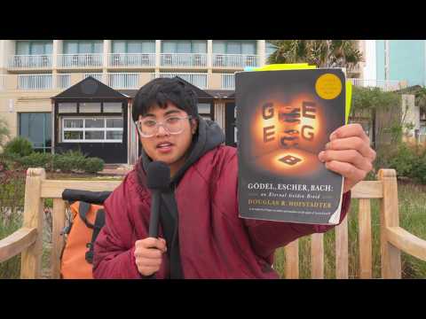 am I a strange loop?