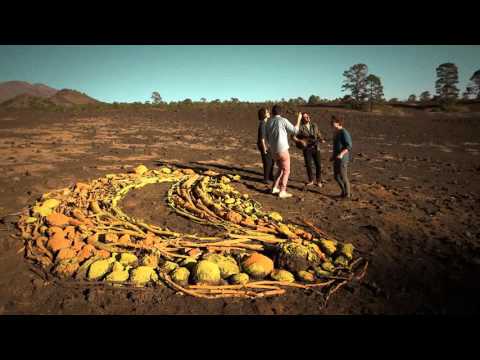 Laurent Lamarca - Main dans la main (Session acoustique Tenerife)
