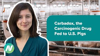 Carbadox, the Carcinogenic Drug Fed to U.S. Pigs but Banned in Other Countries