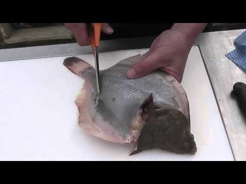 Passionate About Fish - How to skin and prepare a whole plaice