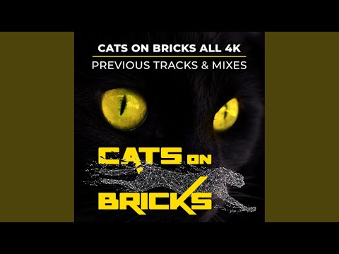 Unstoppable (Extended Radio Mix)