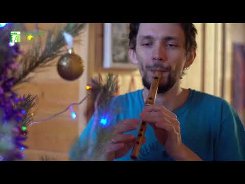 Whistle D ashwood + Silver Ring - HarmonyFlute