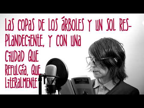 Letras para millennials / Sostiene Pereira, de Antonio Tabucchi