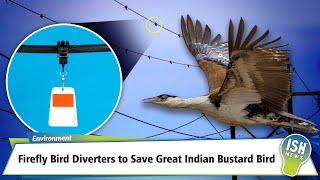 Firefly Bird Diverters to Save Great Indian Bustard Bird