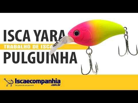 Vídeo Isca Yara Pulguinha