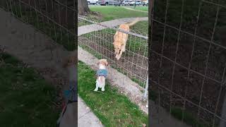 Ͳʁƹ§eis Ɲu ƑrǝƏndɀ (‿ˠ‿)it Ɗ'ɀ ☘🗝️۩ ✠#ɛɜ³ #ƐѠ3 #³ƹ³✠