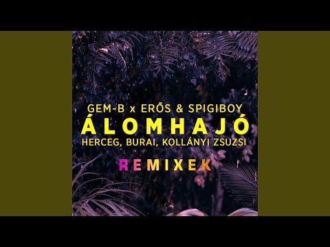 Álomhajó (Delighters & LeGround Remix)