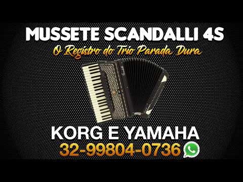 SAMPLER REGISTRO MUSSETE SCANDALLI 4S