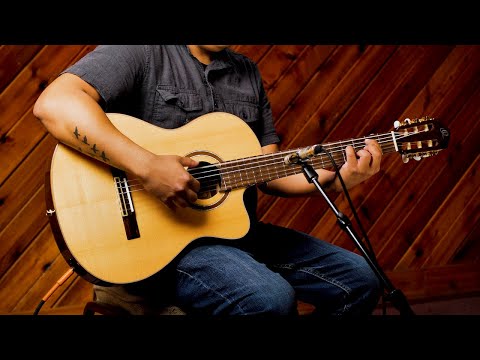 Ortega RCE158SN Performer Series Solid Spruce Top Mahogany Neck Cutaway Nylon 6-String Classical Acoustic-Electric Guitar w/Gig Bag image 26