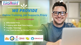 Best Online learning courses and training platform for IT professionals