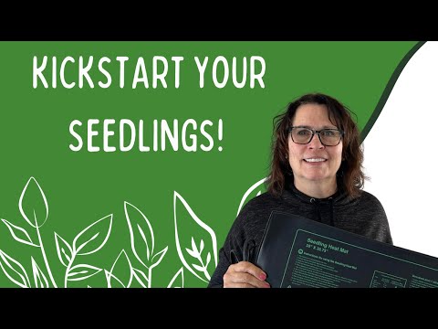 Seedling Heat Mat Review - Kickstart Your Seedlings!