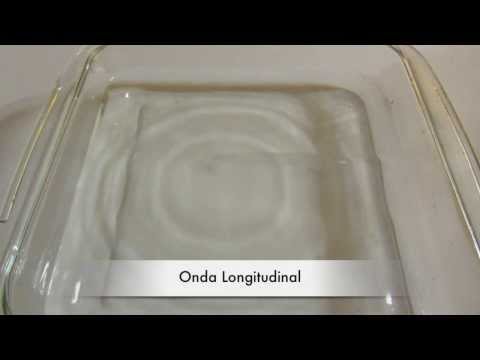 Ondas transversales y longitudinales. Constanza Arancibia - Consuelo Miranda