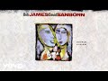 Bob James, David Sanborn - Since I Fell For You (audio) ft. Al Jarreau