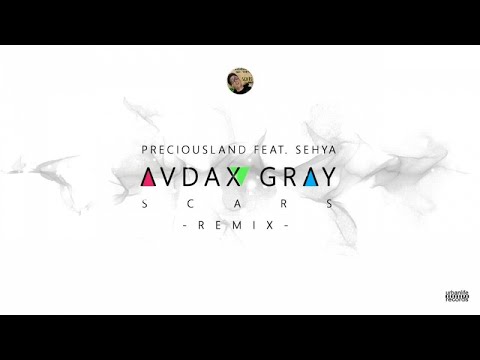 PreciousLand Ft. Sehya - Scars - AudaX Gray Extended Remix