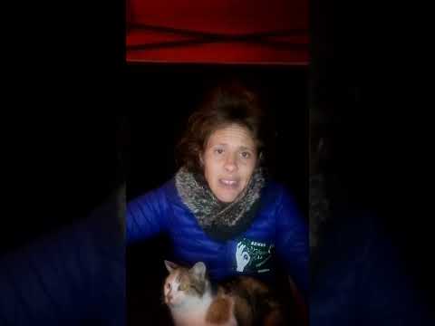 Mise en garde : pratique chamanique