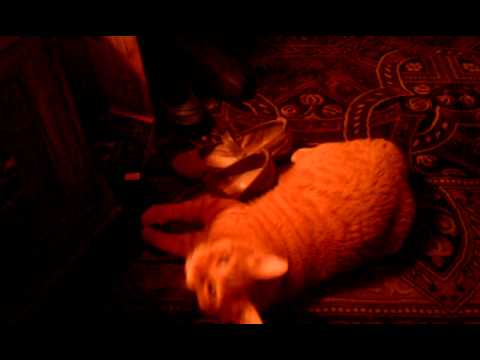 Bhuvan has a shoe fetish...