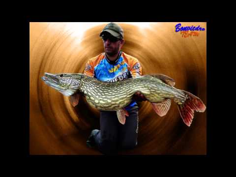 10 LUCIOS GIGANTES | PESCA DEL LUCIO | 10 GIANT PIKES PIKE FISHING