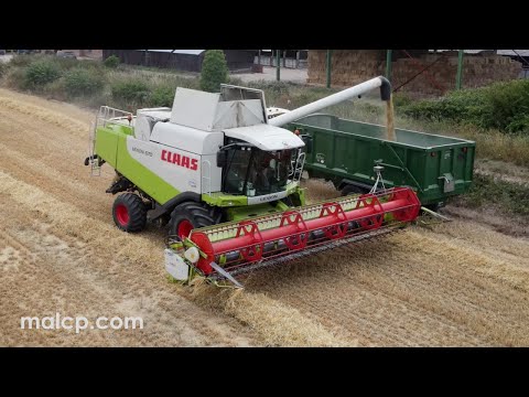 Claas Lexion 570 combine harvester with v750 Vario header cutting barley