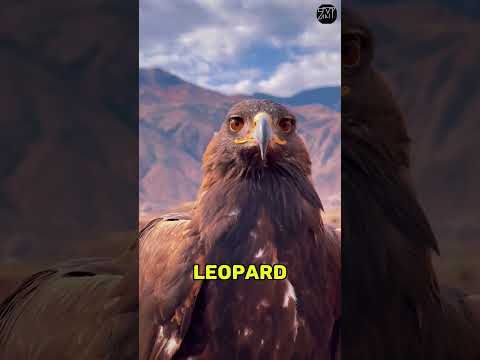 5 Smartest Animal Escapes EVER Recorded