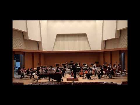 Concerto for Marimba and Strings Mov.1(2006 ver.) / E.Séjourné