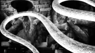 The Ettes - Crown Of Age