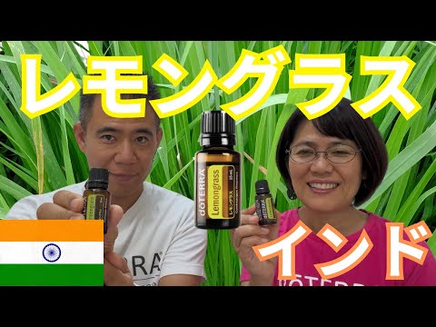 カルビンスキーノミバネ、ムスロンノミバネ、クレイジーデイジー、エリゲロン・カルビンスキアヌス