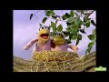 Sesame Street Kermit The Frog News Flash The Bird Family Song